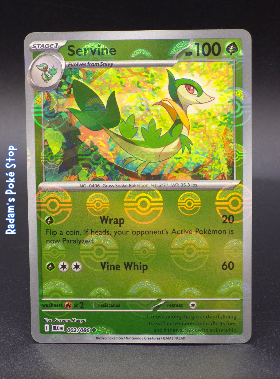 blk 002_086 poke ball servine.png
