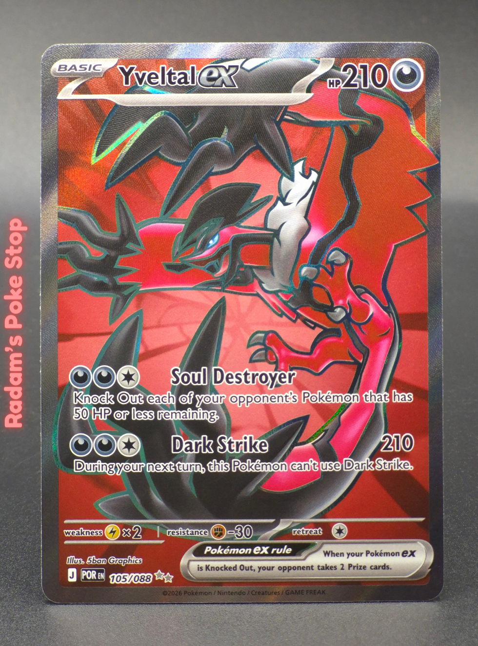 POR 105_086  yveltal ex.png