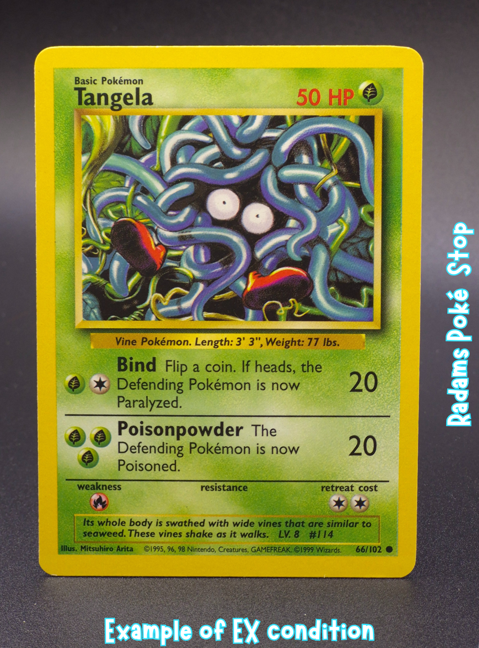 Tangela #66 common Base Set
