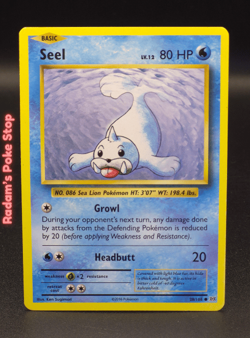 Seel #28 XY Evolutions
