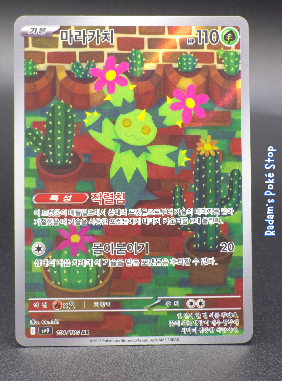 sv9 101_100 maractus.png