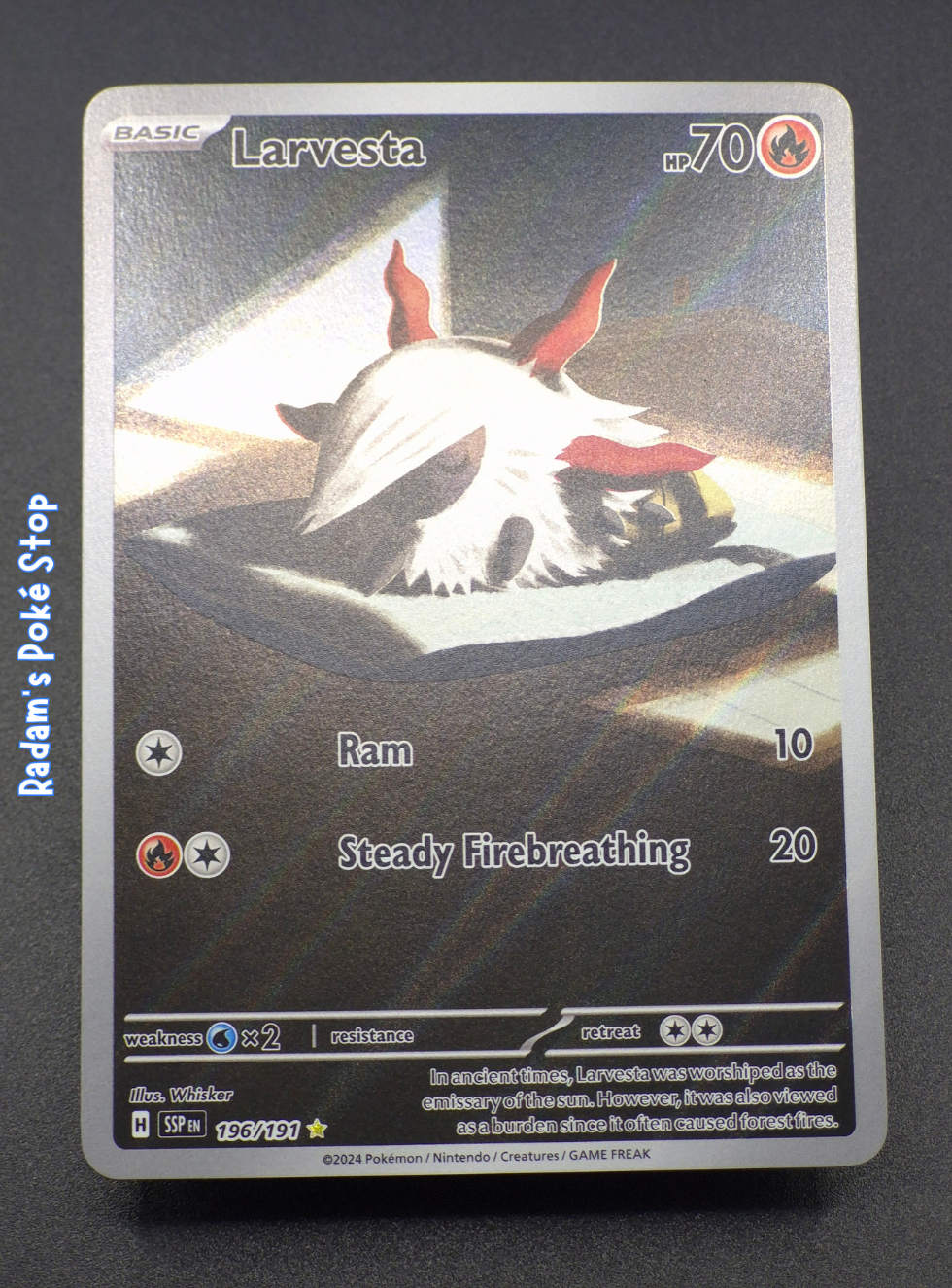 SSP 196_191 Larvesta (3).png