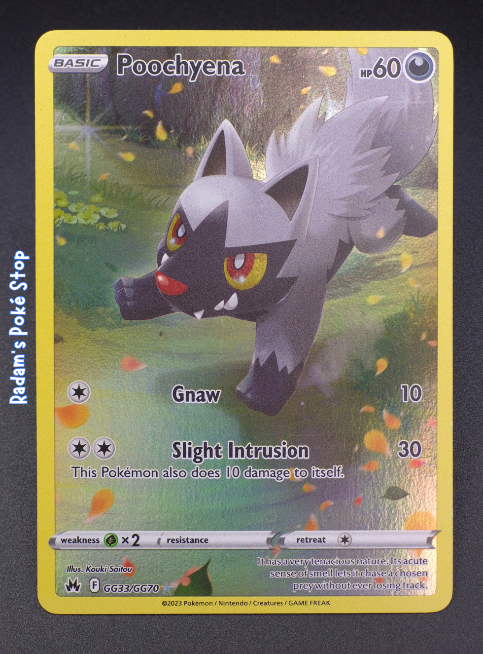 Poochyena #GG33 Crown Zenith