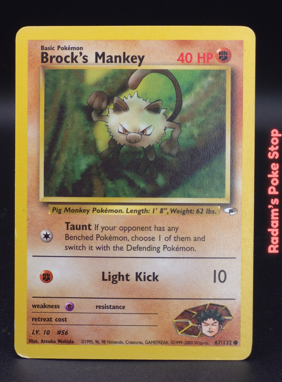 GH 67_132 brock's mankey.png