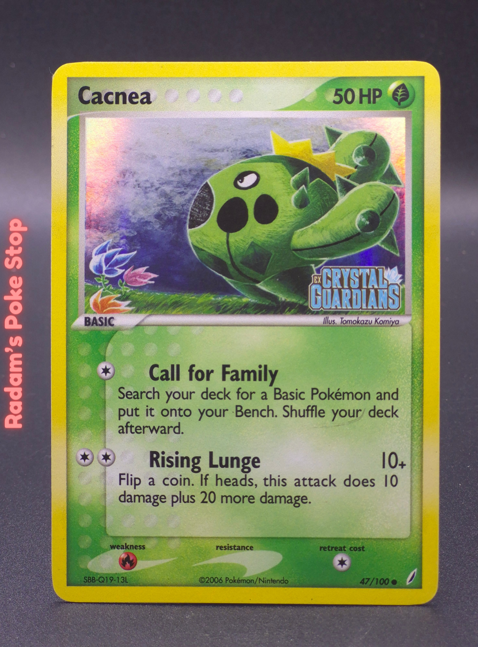 stamp 47_100 cacnea.png