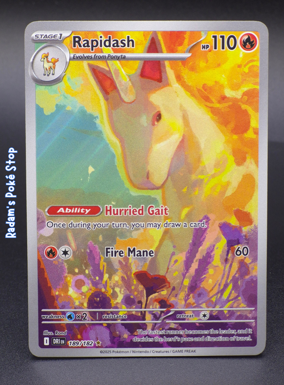 DRI 189_182 rapidash.png