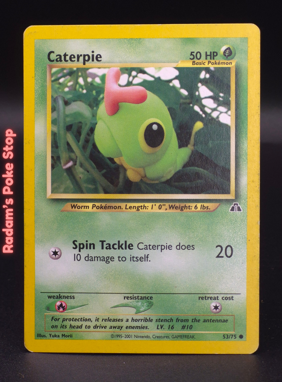 neo d 53_75 caterpie (3).png