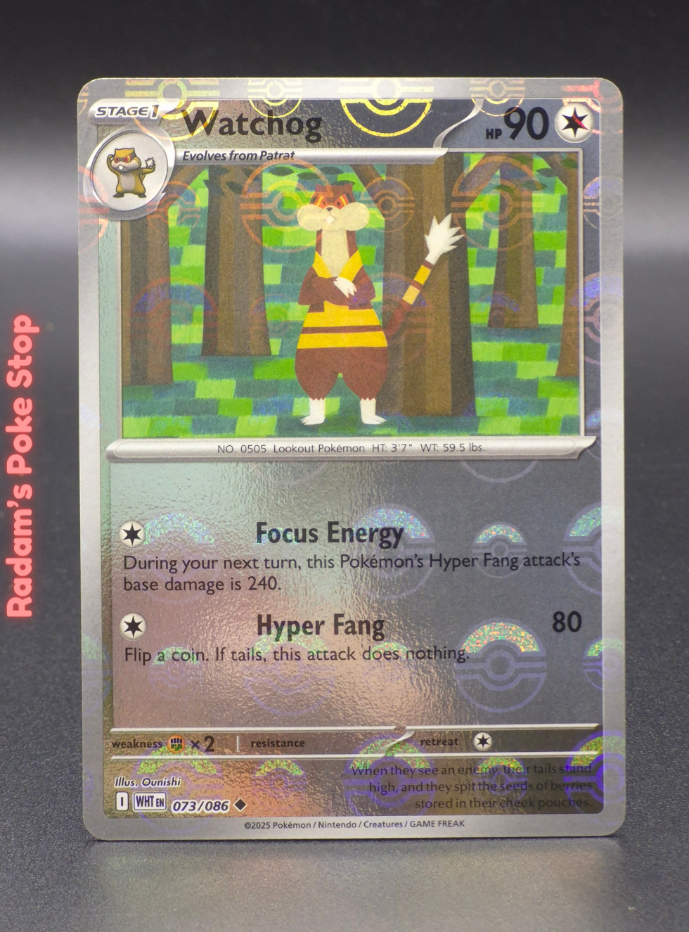 WHT 073_086.png