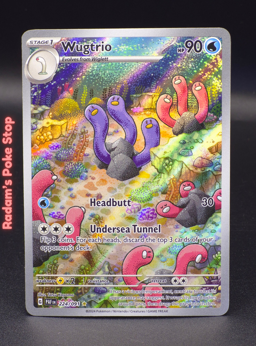 IR PAF 224_091 wugtrio.png
