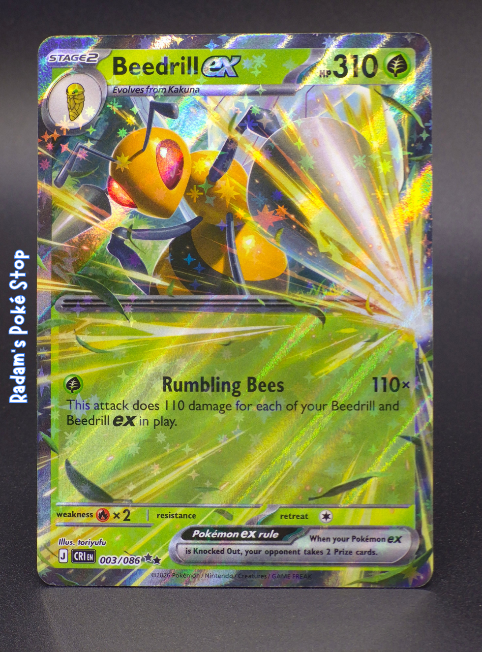 CRI 003_086 beedrill ex.png