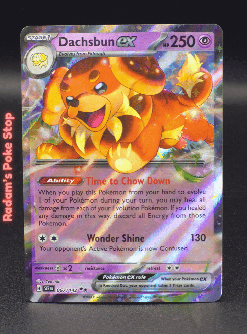 Dachsbun ex #067 Stellar Crown DR
