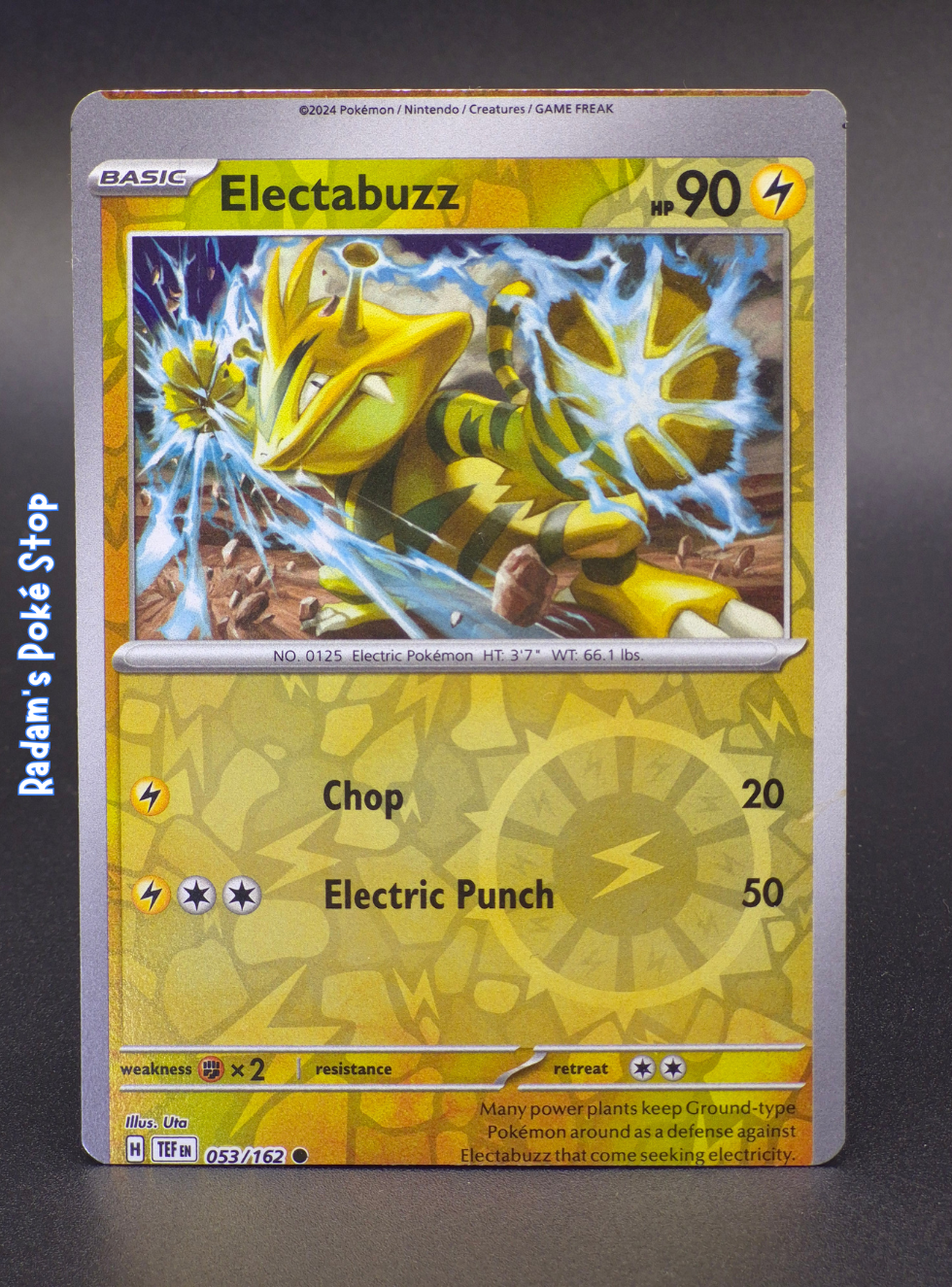 MISCUT TEF 053_162 electabuzz.png