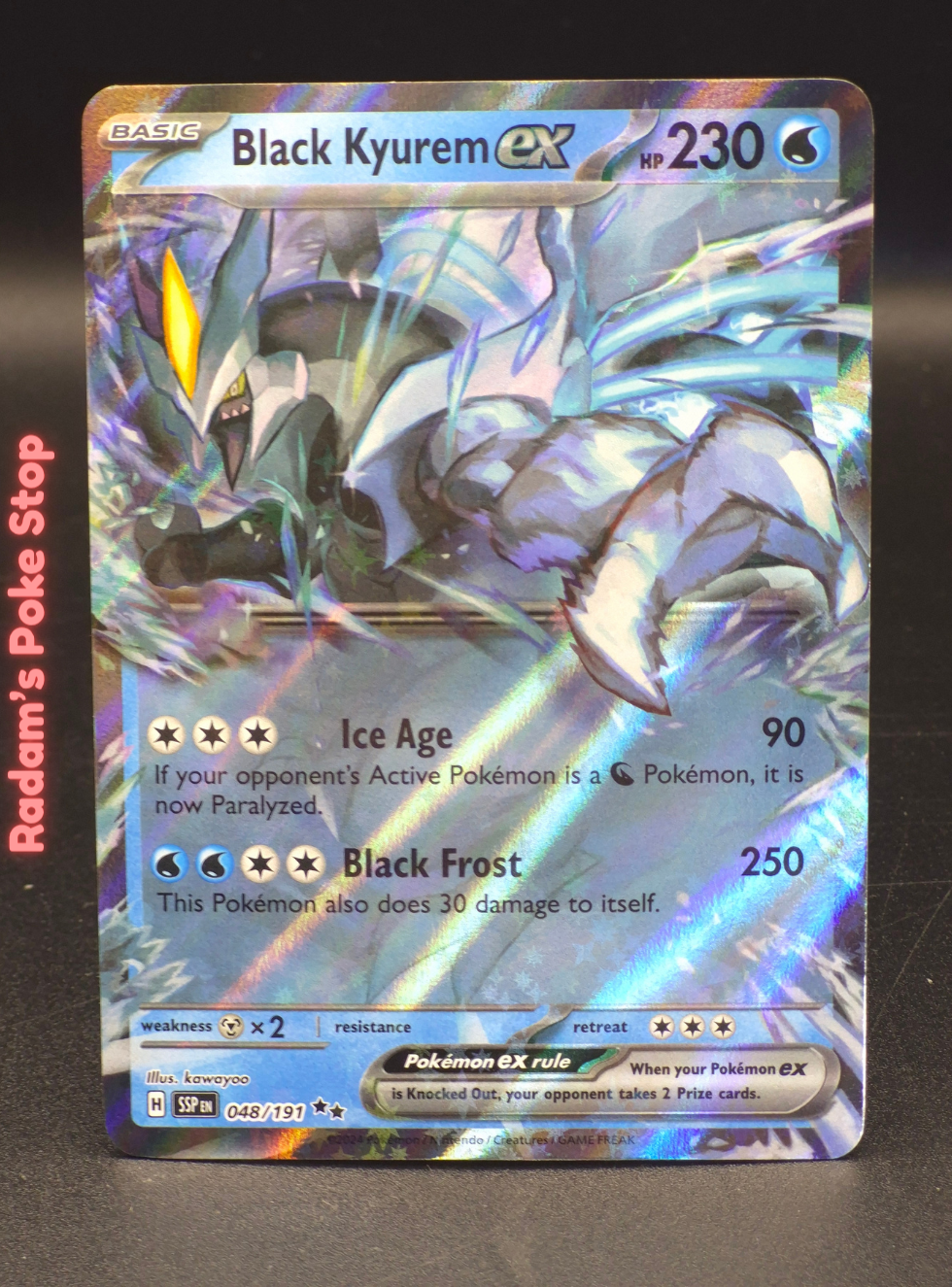 ssp 048_191 black kyurem ex.png
