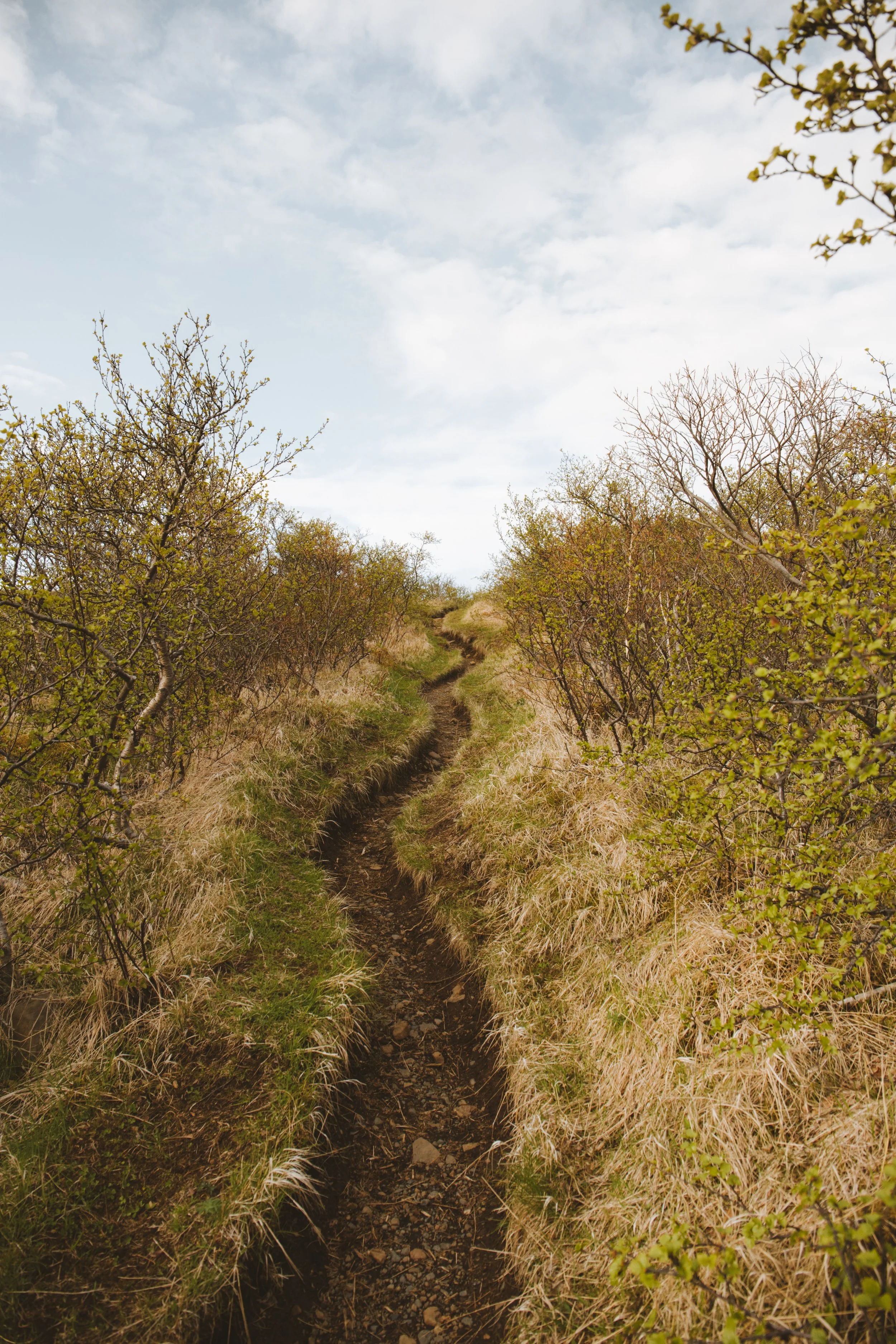 A Path Forged Through Faith, Struggle, and Strength