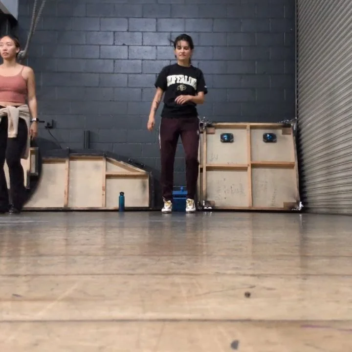 Dance dump, ending with our first day back in the Mary Rippon. Come see Twelfth Night!

Vid 1 choreo: Parris Mann
Vid 4 choreo: Eric Stretch

#ladance #coloradodance #nationaltapdanceday