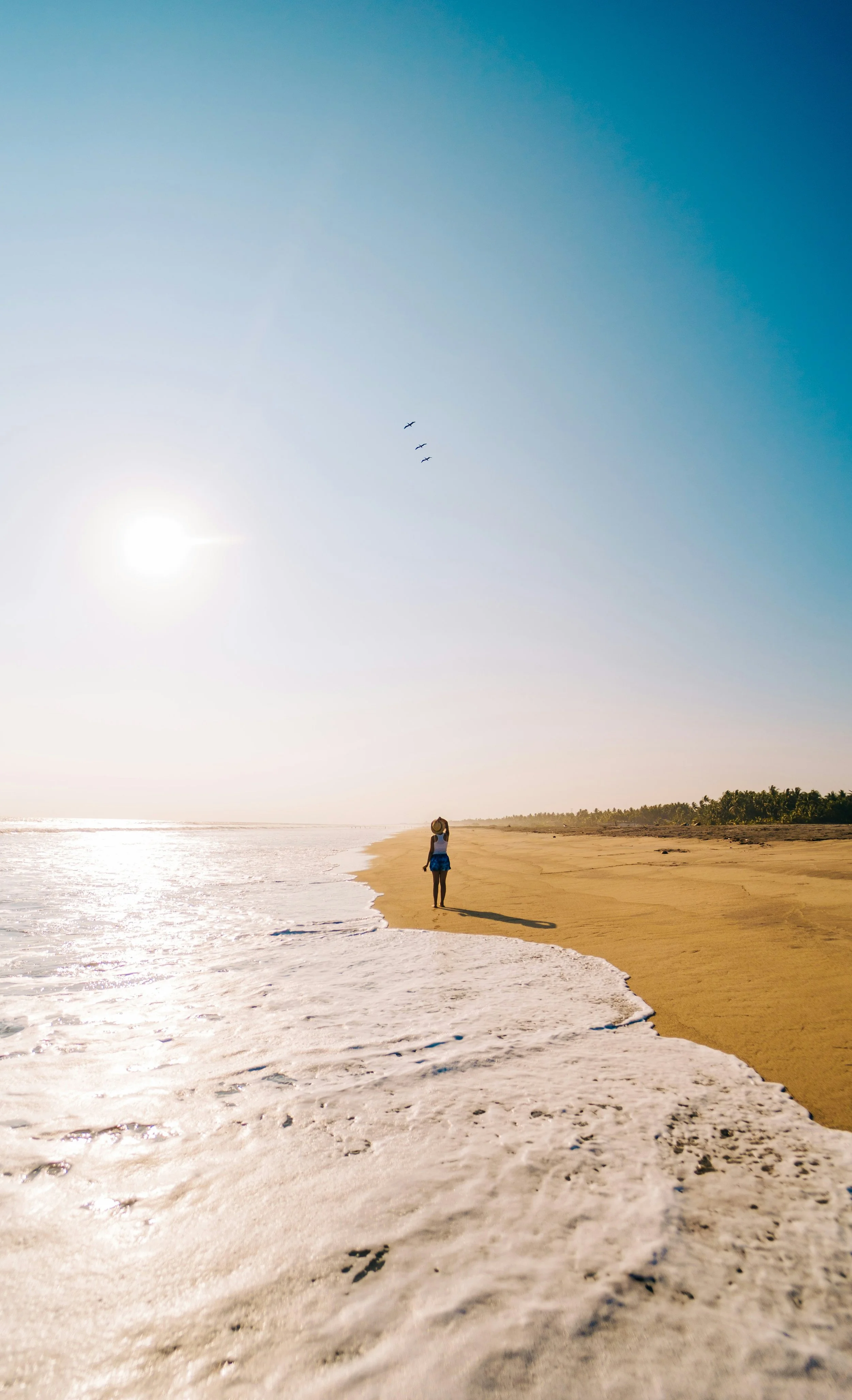 A person standing on a sandy beach near the water, facing away, with the sun shining brightly in the clear blue sky, and three birds flying overhead.