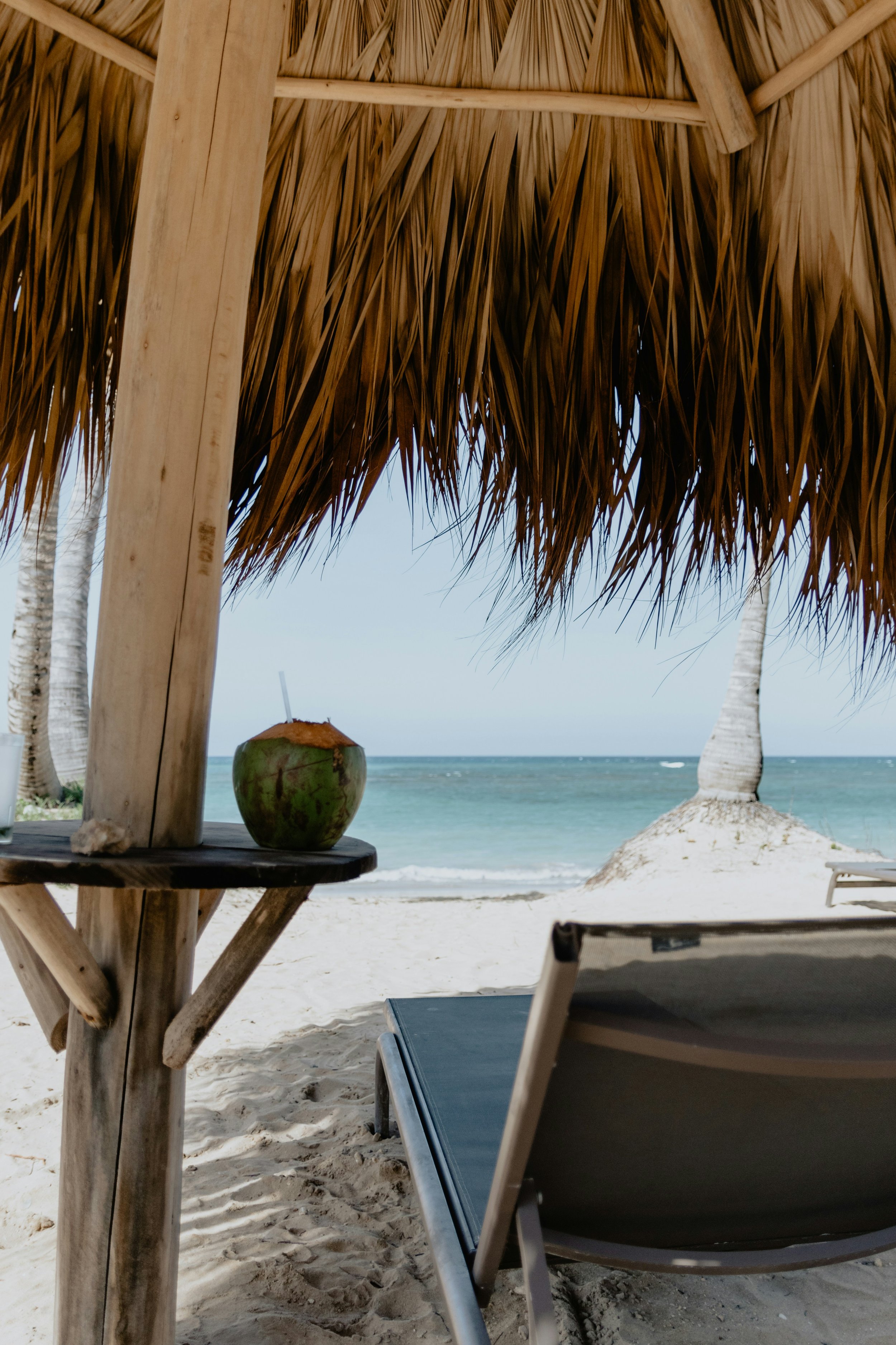 View of a beach scene with a thatched hut, a coconut drink on a wooden table, a lounge chair, and palm trees by the ocean.
