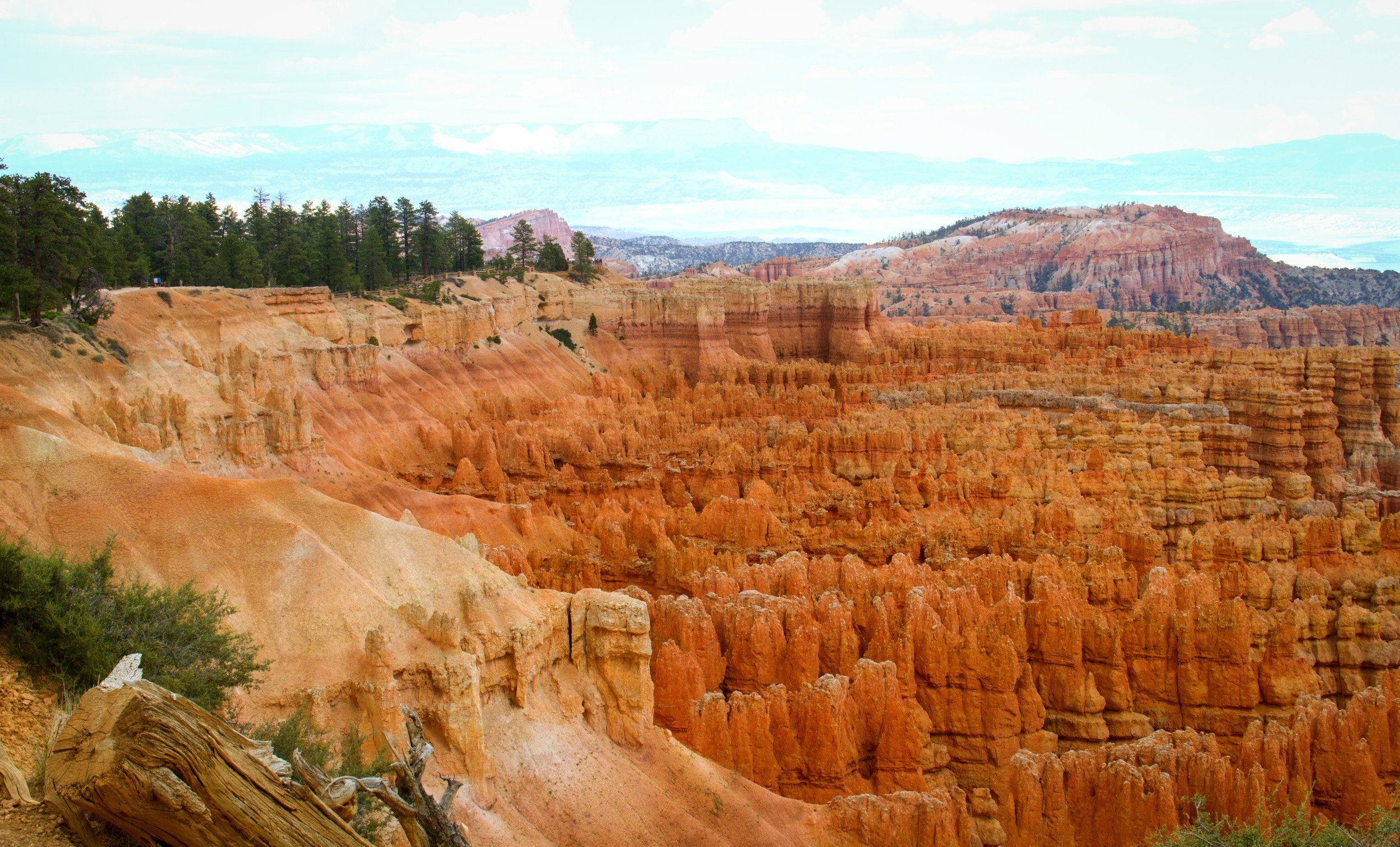 🌵 Voyage dans l’Ouest Américain : Guide complet pour un road trip inoubliable