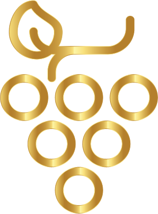 Savoir Pattern_Experience.png