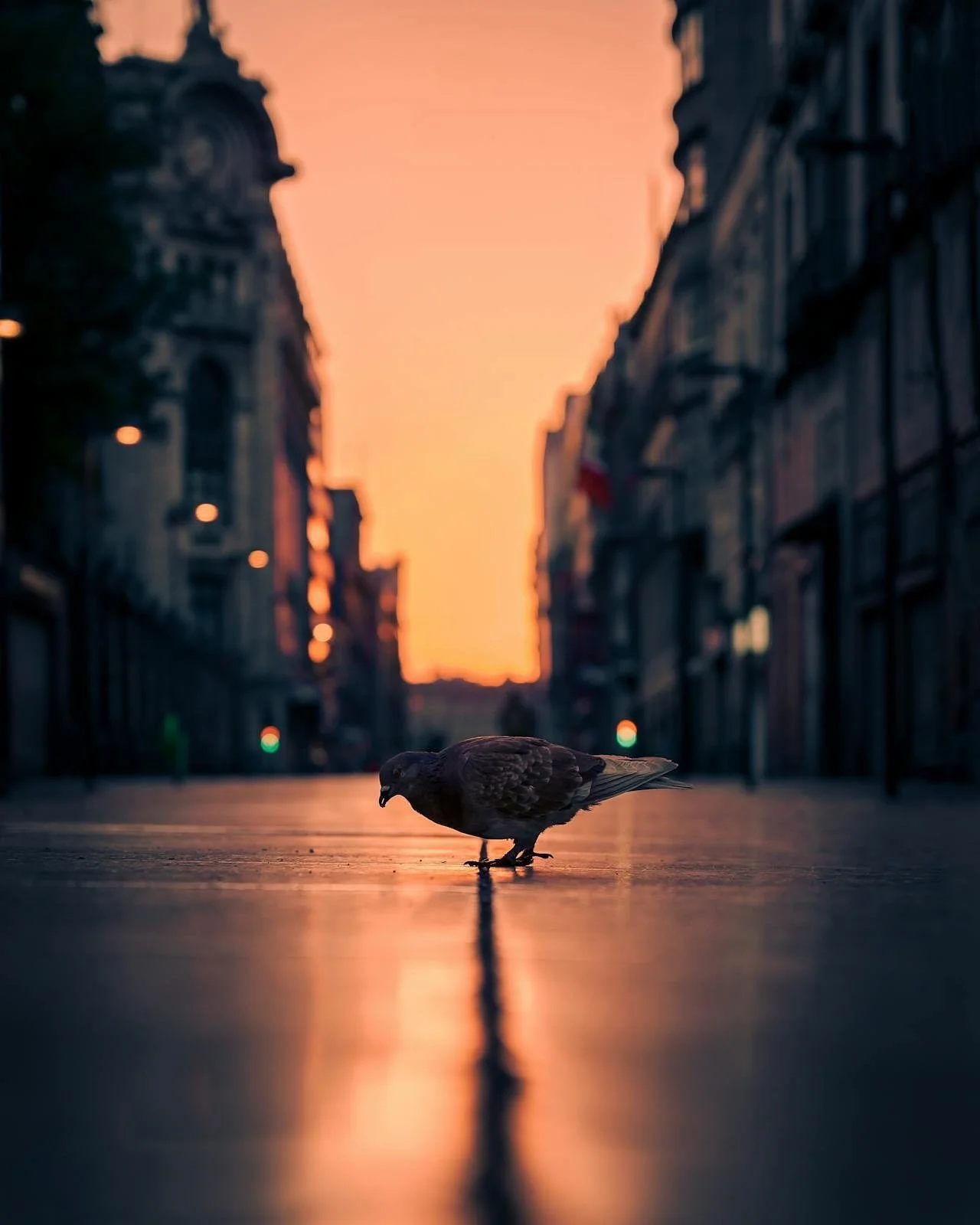 Welcome to the world. 
Good morning, Mexico City. Take a journey to the intersection of the indigenous world &ndash; the birthright of all humanity &ndash; and the contemporary technocratic hustle to survive - bathed in morning light and welcoming yo