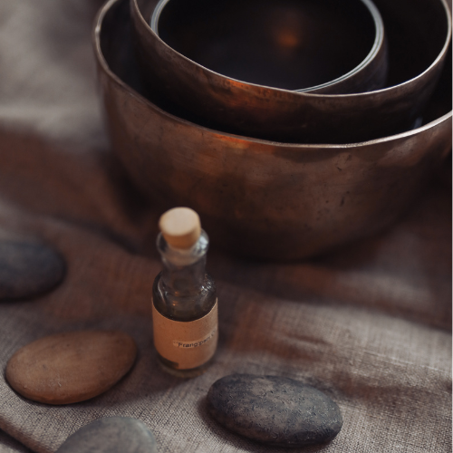 Vision Trek Logo (9).png