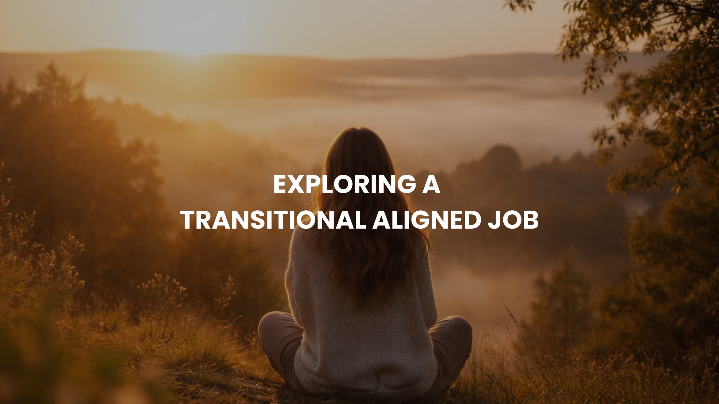 🧘 Exploring a Transitional Aligned Job