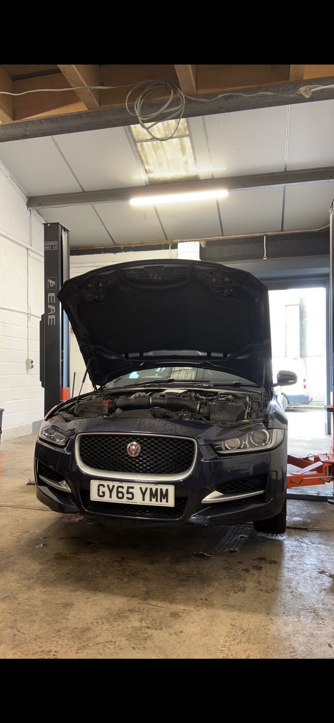 Timing Chain Replacement