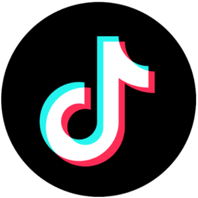 TikTok Logo