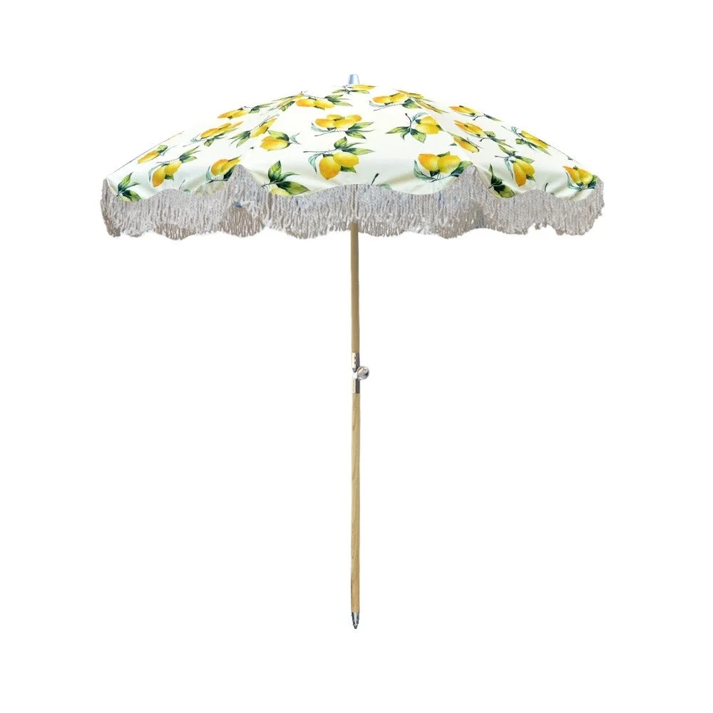LemonUmbrella_2025.jpg