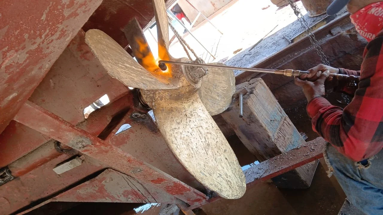 WhatsApp Image 2025-09-11 at 7.54.08 PM.jpeg