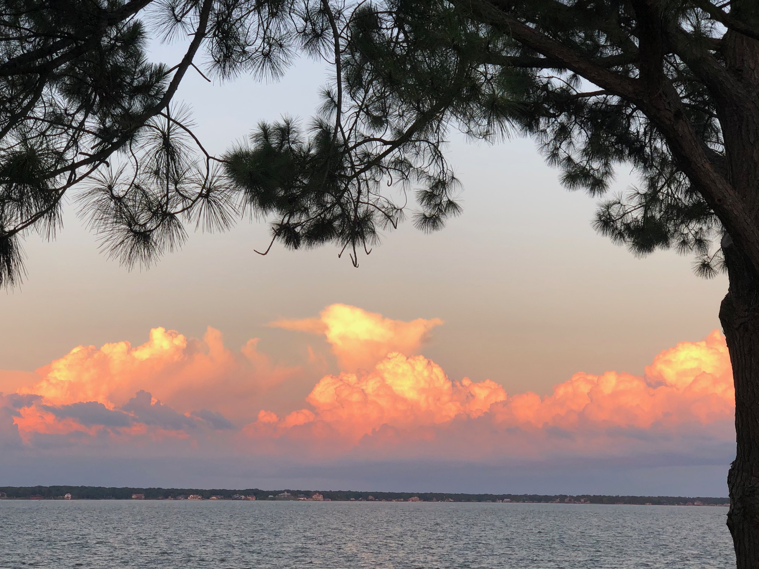 Sing God’s Wonderful Works - Psalm 105:1-6, 23-26, 45c