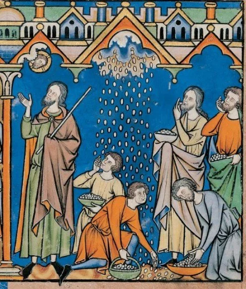 Complaints and Compassion: Exodus 16:2-15