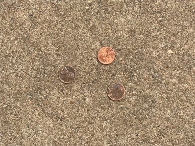 Holy Pennies: Philippians 4:1-9