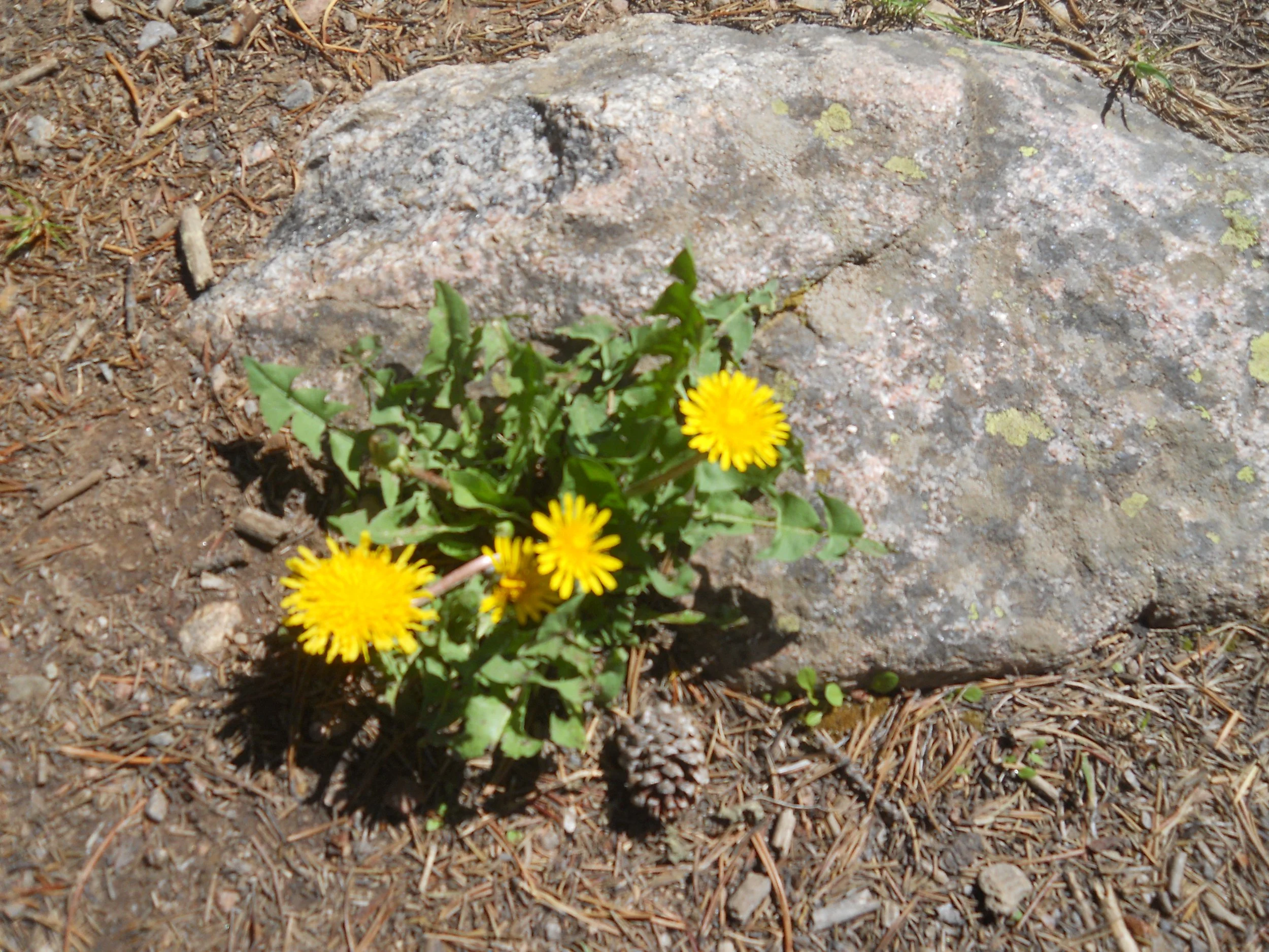 Resurrection Matters:1 Corinthians 15:12-20