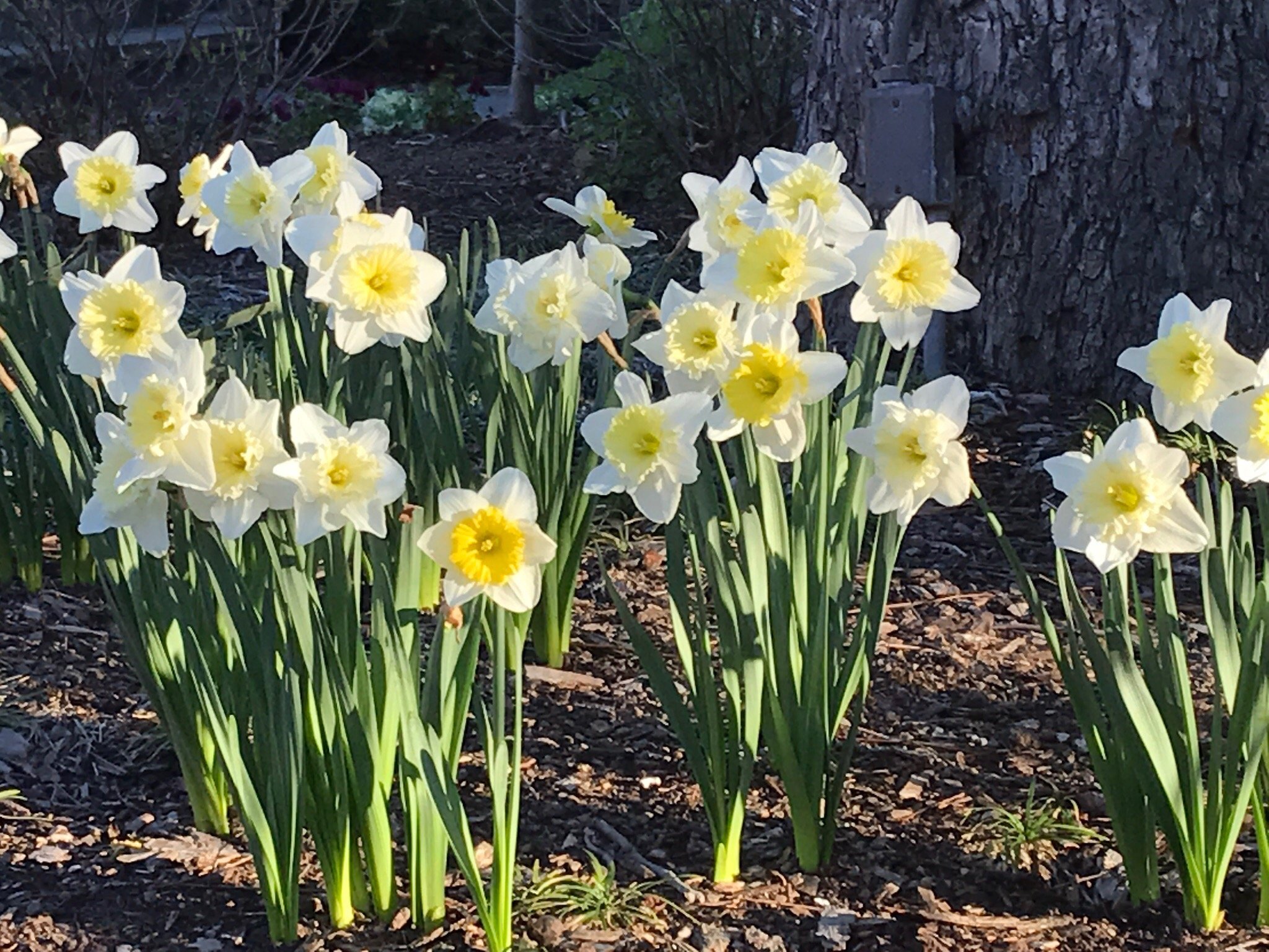 Breathe in Trust: Psalm 37:1-11, 39-40