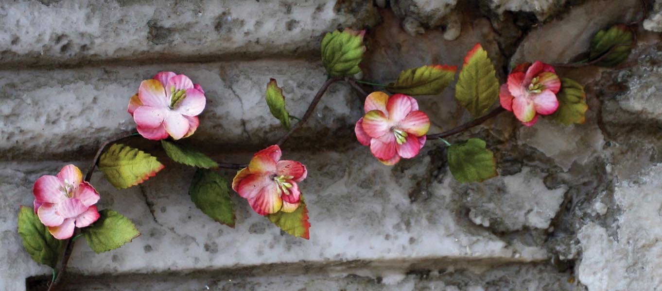 What You Sow Does Not Come to Life Unless It Dies:1 Corinthians 15:35-38, 42-50