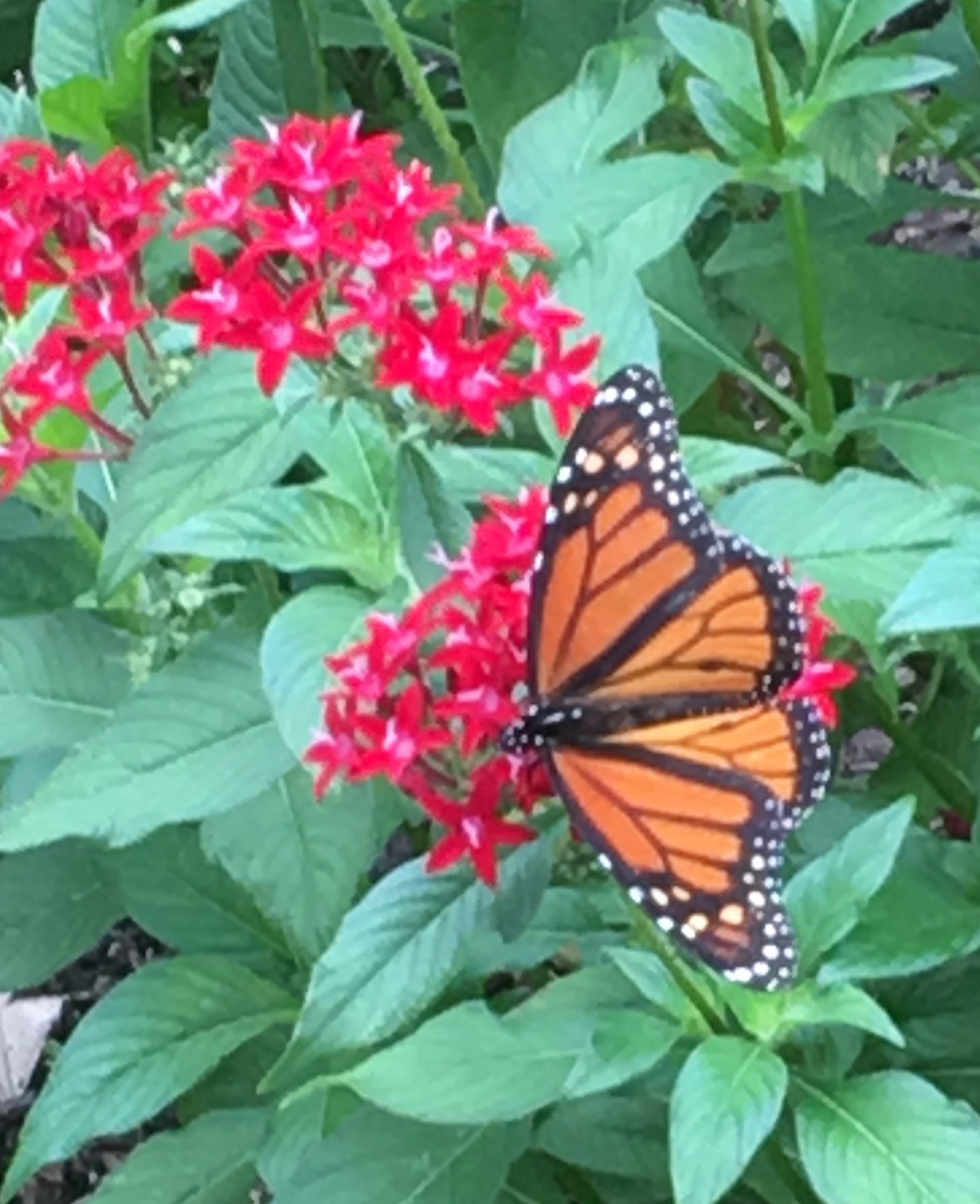 Lent: Generous to All Who Call on Him: Romans 10:8b-13