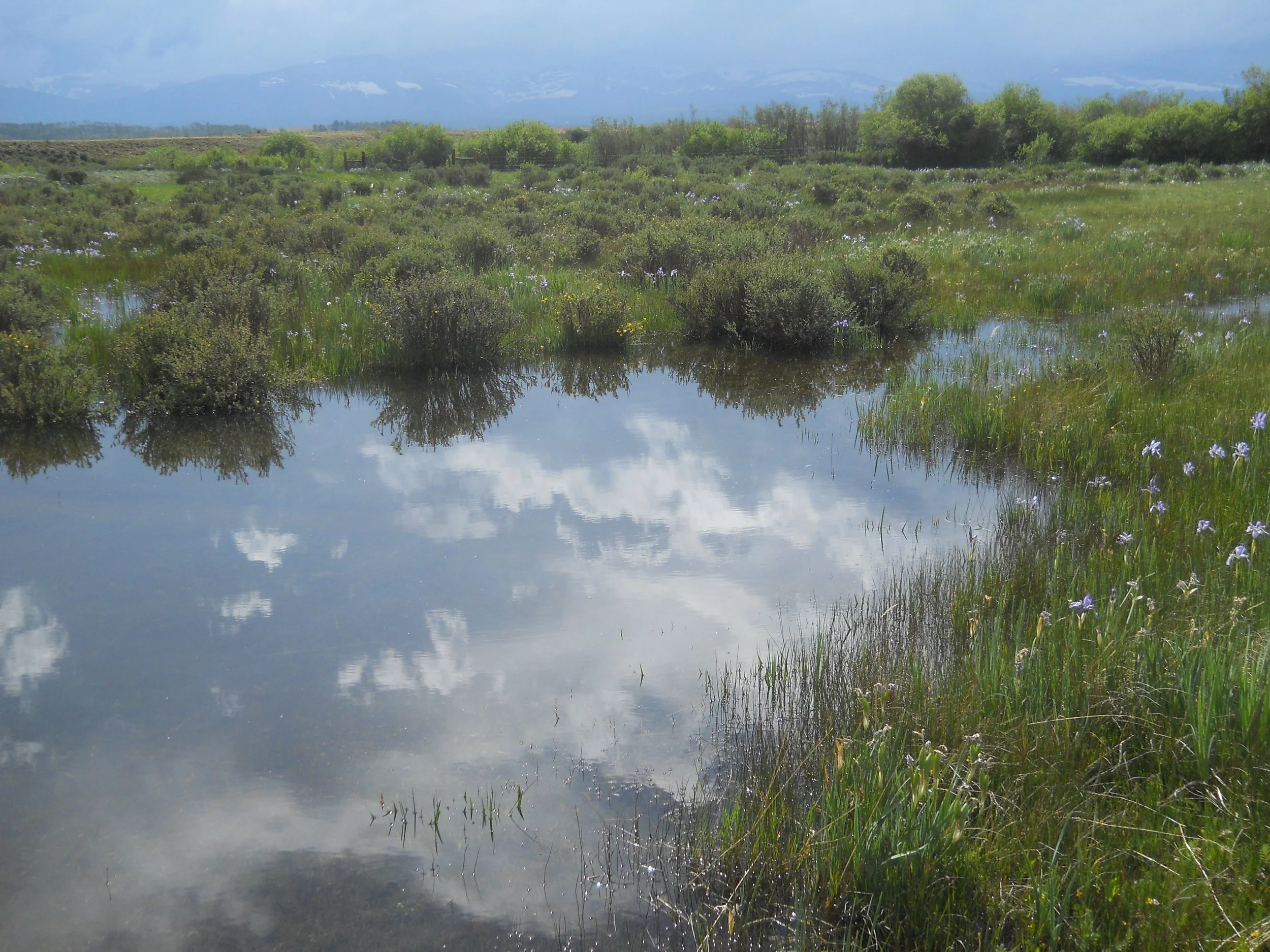 Lent: Transform the Body of Our Humiliation: Philippians 3:17-4:1