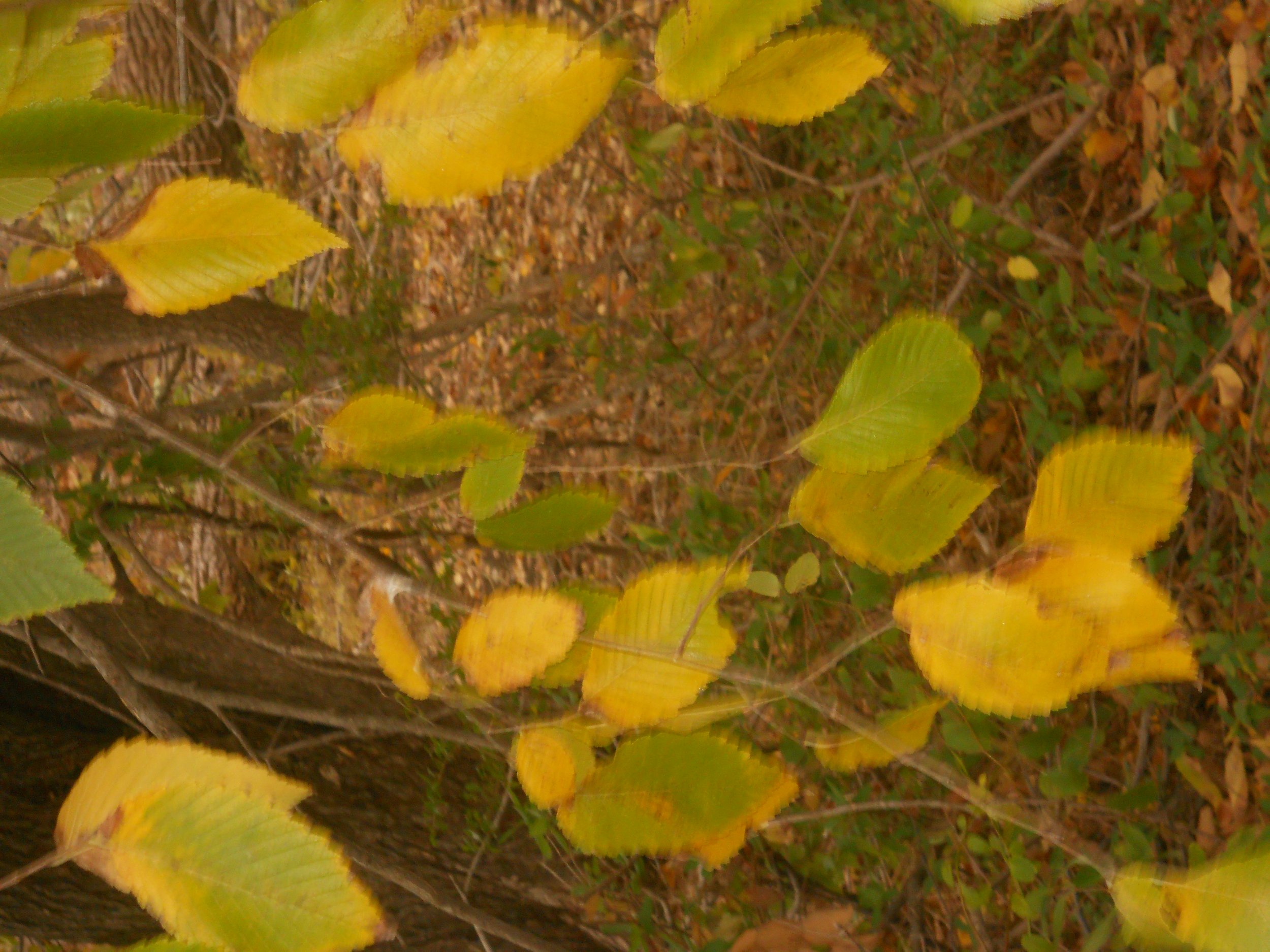 Lent: Lead Me in Your Truth and Teach Me: Psalm 25:1-10