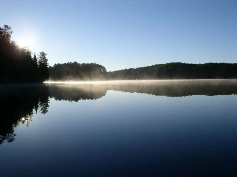 Lent: Fix My Eyes on Your Ways: Psalm 119:9-16