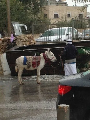 Palm Sunday: Blessed Is the One Who Comes: Mark 11:1-11