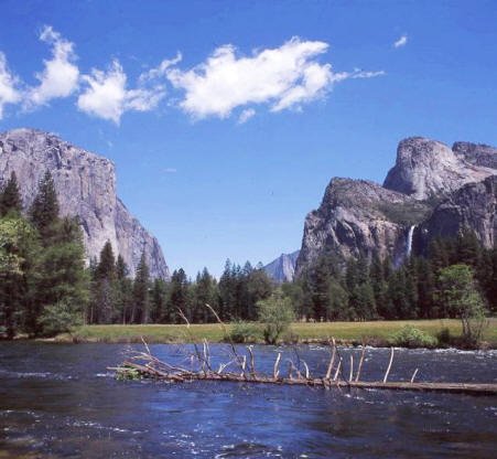 Monday of Holy Week: Drink from the River of Delight: Psalm 36:5-11