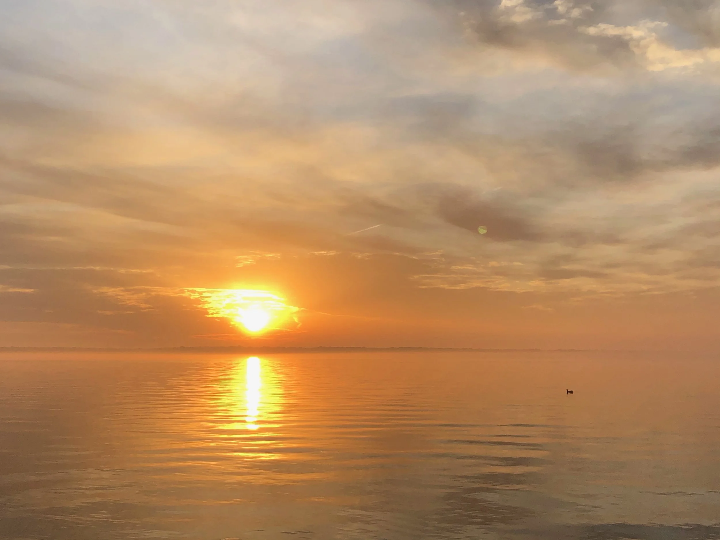 Easter: He Restores My Soul: Psalm 23:1-6