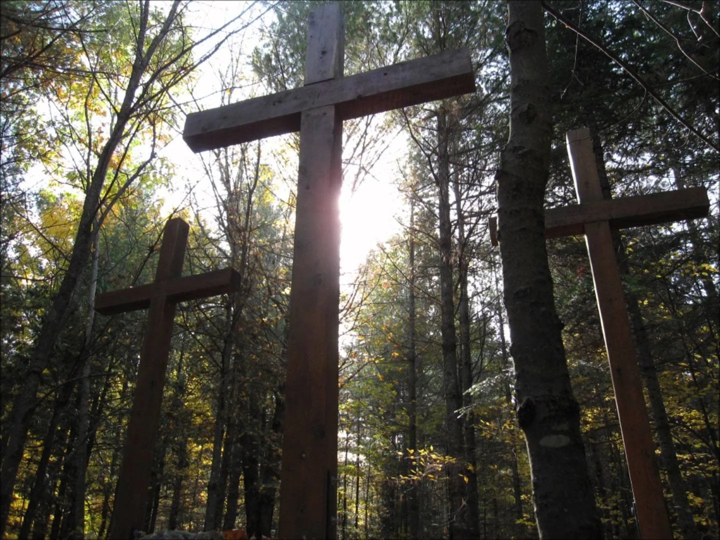 There Is Forgiveness with You: Psalm 130