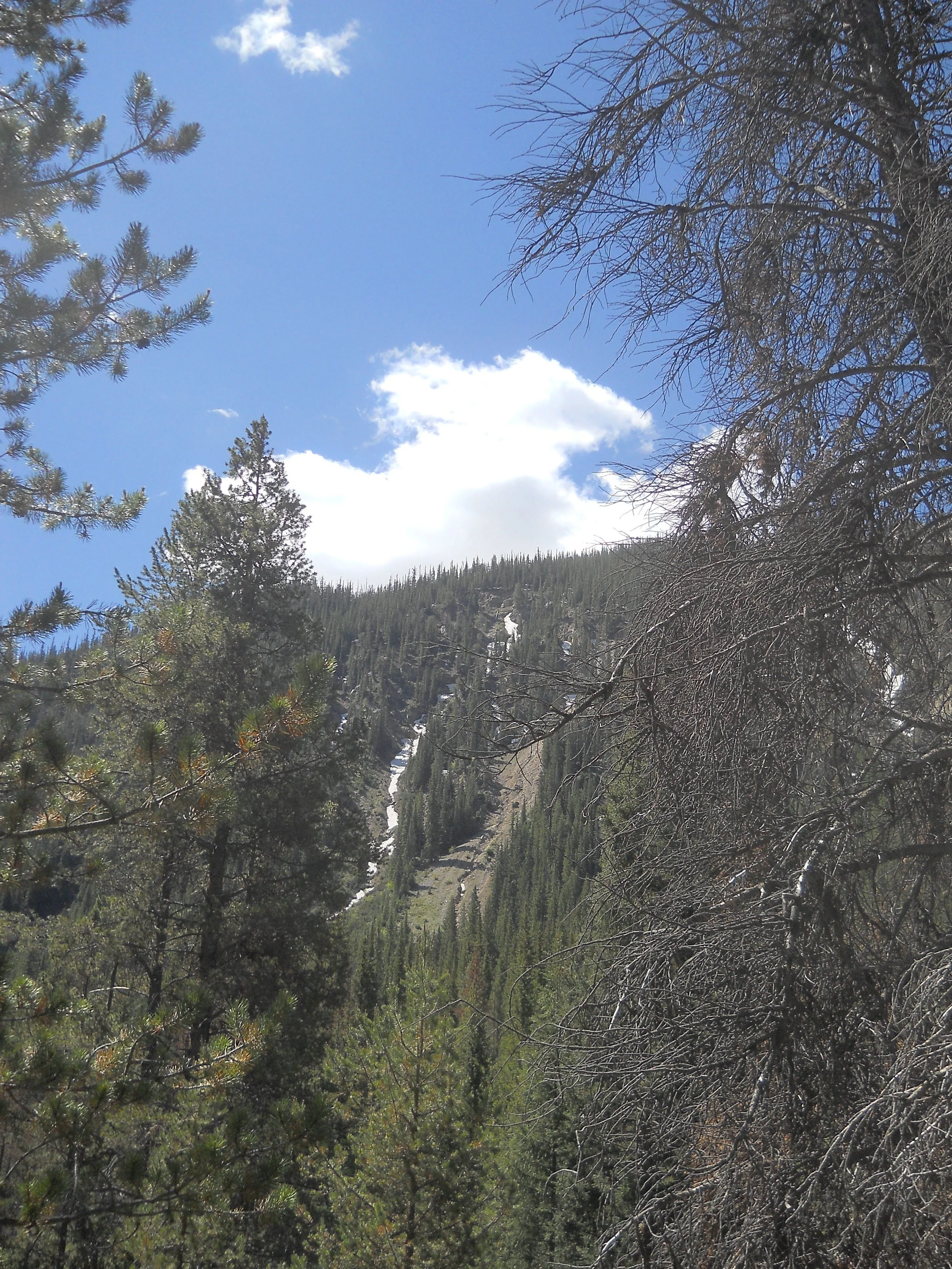 Our Guide Forever: Psalm 48