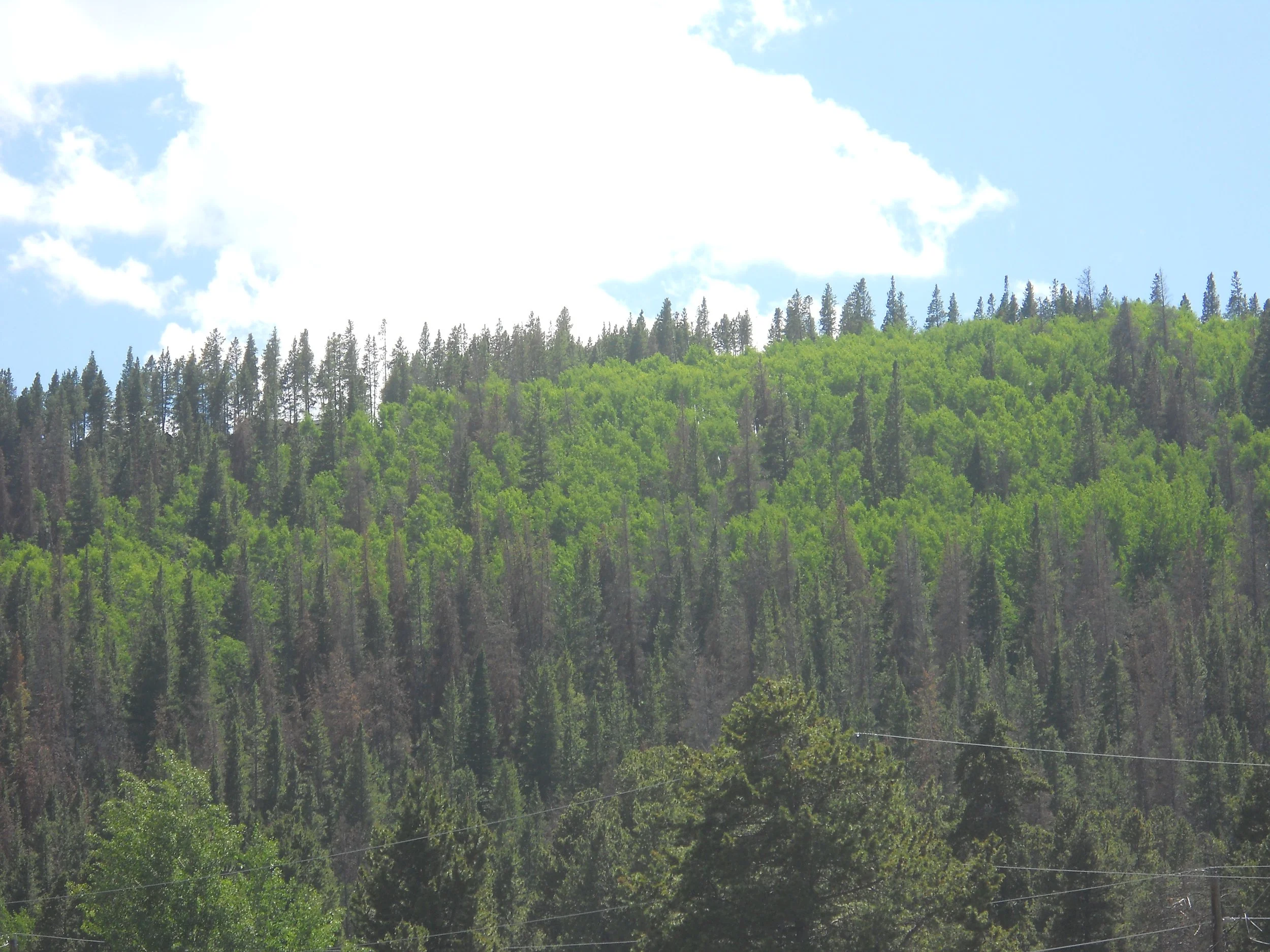 God Is Faithful: 2 Samuel 7:1-14a