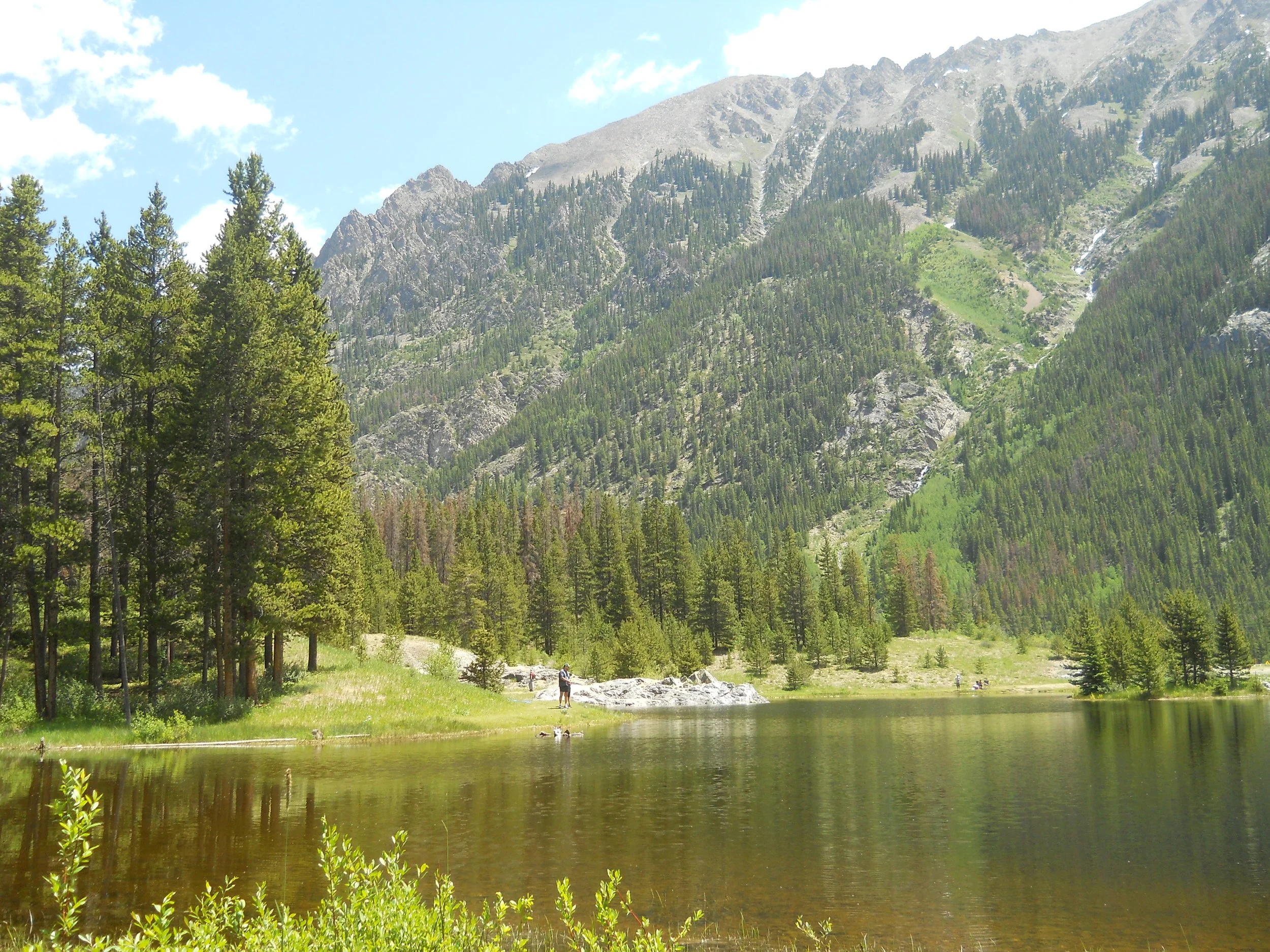 There Is Forgiveness with You: Psalm 130:1-8