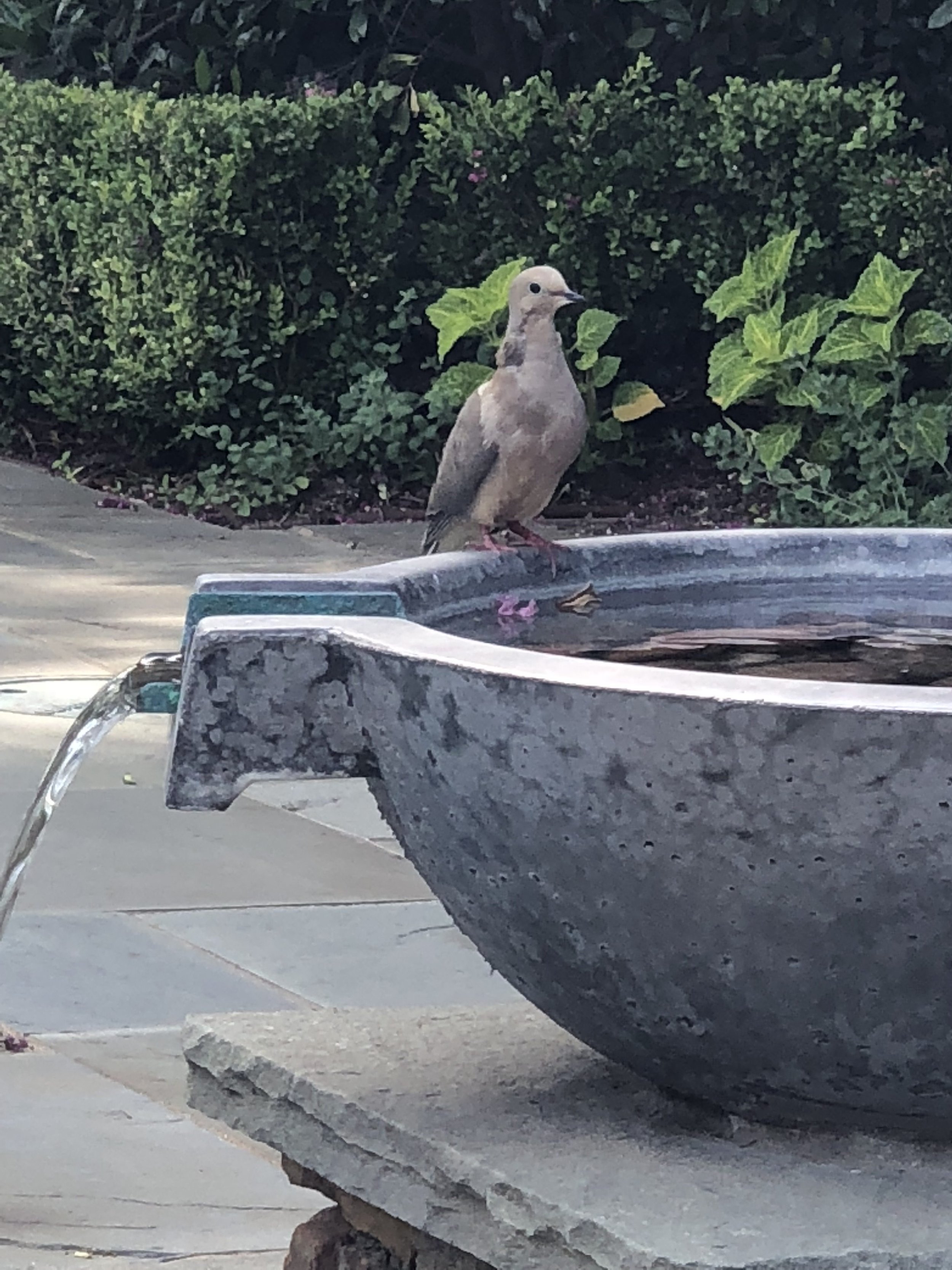 Advent: Justice and Righteousness in the Land: Jeremiah 33:14-16