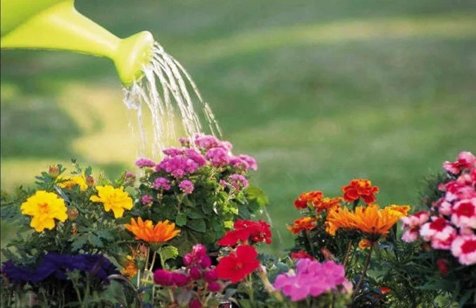 Christmas: Life as a Watered Garden: Jeremiah 31:7-14