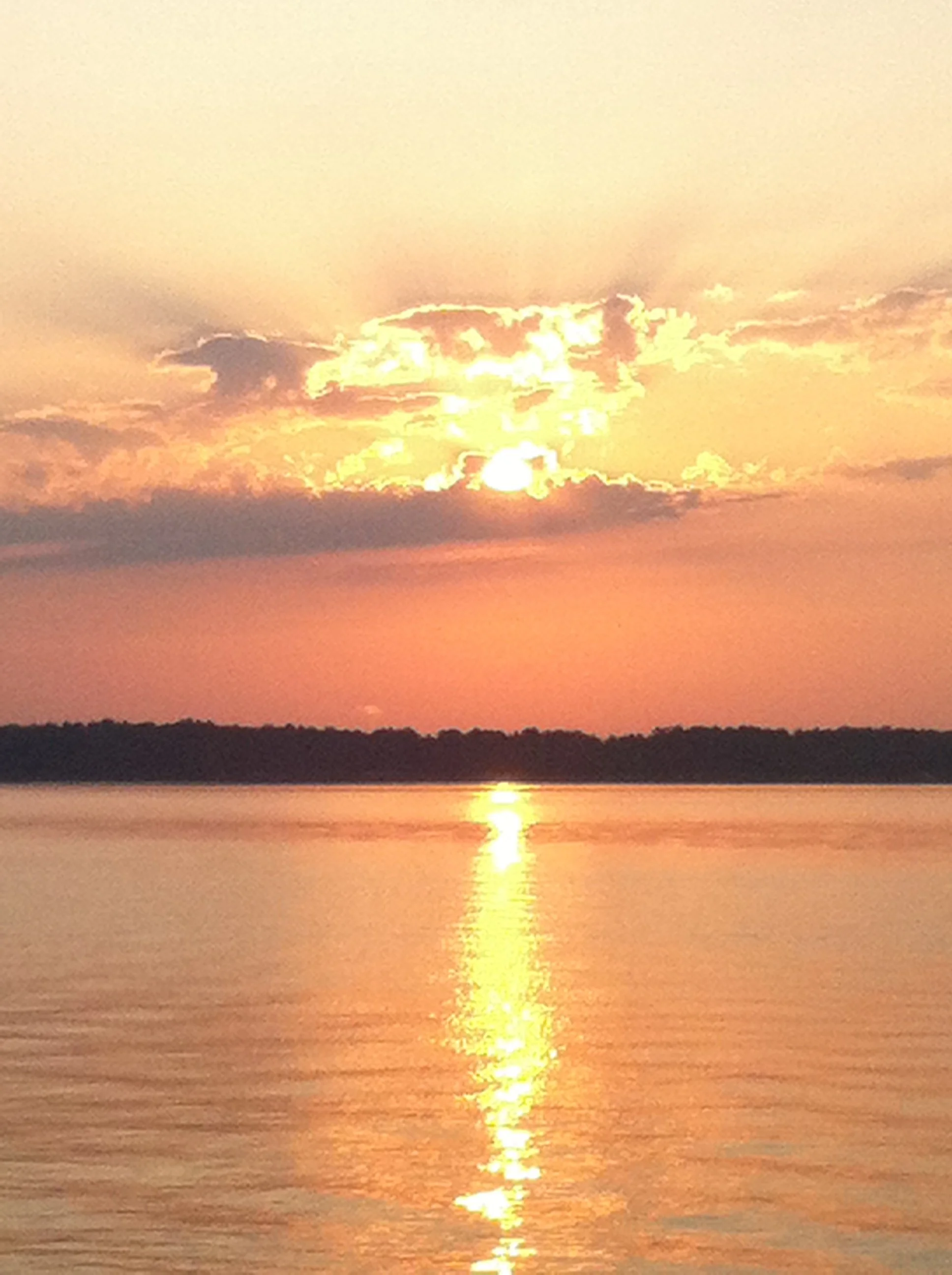 Happy New Year: Mindful Majesty: Psalm 8